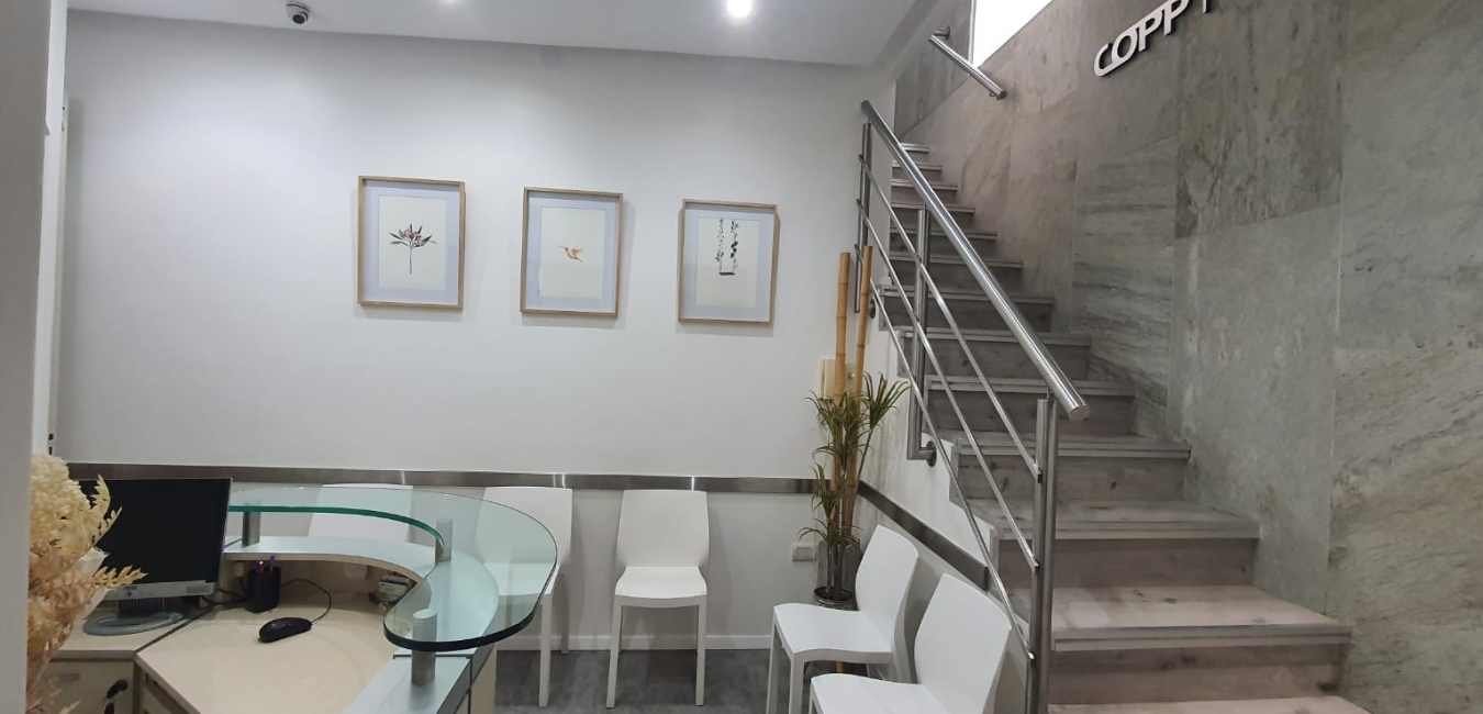 Diseño sin título (5)